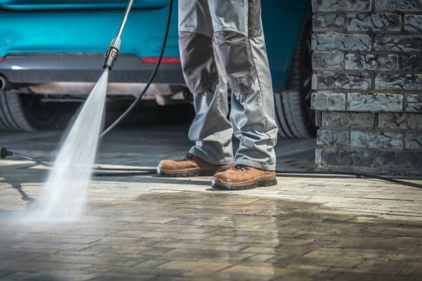 Best Gutter Cleaning  in Minor, AL